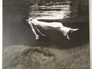 Bill Evans - Jim Hall – Undercurrent (Mobile Fidelity Sounds Lab Reissue LP)