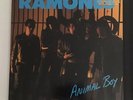 Ramones Animal Boy 1986 RARE PROMO  Brown TRANSLUCENT Vinyl NM Orig Inner Sleeve
