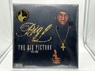 The Big Picture Limited Edition Translucent Vinyl 2LP Big L (2018)️