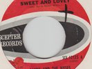 CANDY & THE KISSES SWEET & LOVELY/ OUT IN THE STREETS AGAIN Scepter 45 12125 sou