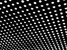 Beach House Bloom (Vinyl) 12