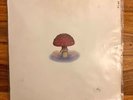 MUSHROOM JAZZ 2 x LP VINYL - DJ Mark Farina - OM Records - Rare Downtempo Vinyl