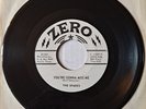 Garage Rock, The Spades, You’re Gonna Miss Me 45rpm 7