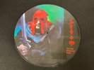 SODOM IN THE SIGN OF EVIL PICTURE DISC VINYL VMLP017