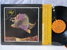 FLUFF  S/T  Original 1972 Roulette  LP  Psychedelic Rock  EX