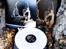 King Gizzard & The Lizard Wizard Infest the Rats Nest Vinyl White Pre order NEW