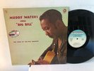 MUDDY WATERS sings 