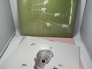 Modest Mouse - Good News for People Who Love Bad News Black VINYL 2LP EX
