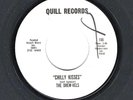 NORTHERN SOUL 45    The Drew-Vels  Quill  100  *promo*