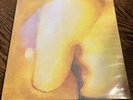Smashing Pumpkins Pisces Iscariot LP 2012 Issue New never played just opened