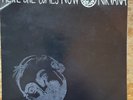 Nirvana / Melvins split single grey vinyl Velvet Underground covers