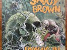 SAVOY BROWN - LOOKING IN - SKL5066 - DECCA LP Vinyl Record - EX