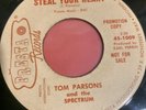 Tom Parsons and the Spectrum Steal Your Heart 45 RARE Garage Punk Psych Mover