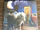 Fall Out Boy Infinity On High 2-LP Limited Anniversary Color Vinyl Edition