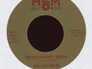 Bluegrass 45 - Walter Adams - Guitar Picker's Dream on REM