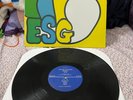 ESG S/T 12'' Vinyl EP Repress 99-04 EP 45RPM