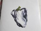 White Pepper by Ween (Record, 2016)