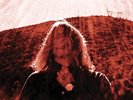 Ty Segall - Manipulator [New Vinyl LP]