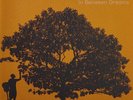 In Between Dreams (Vinyl) Johnson, Jack