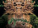 Shpongle Codex VI (Vinyl) 12