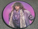 Bon Jovi Slippery When Wet Picture Disc Vinyl Record and New Jersey Tour Book