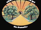 The Dramatics - Whatcha See Is Whatcha Get - Used Vinyl Record - G16291A