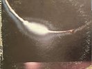 jazz fusion LP FRANK STRAZZERI After The Rain HEAR OG Catalyst 1976 VG+