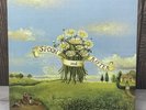 Mojave 3 - Spoon and Rafter - Vinyl LP - 4AD Records 2003 UK Pressing OOP RARE
