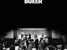 THE NATIONAL BOXER NEW SEALED YELLOW COLOURED VINYL LP IN STOCK
