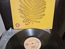 ORQUESTA COJOBA FRANK FERRER ON VOXAFON RECORDS LBL GUAGUANCO SALSA LP HEAR