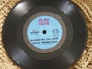 BRUCE SPRINGSTEEN BLINDED BY THE LIGHT Columbia Play Back RARE PROMO w/ sleeve