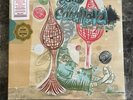 Ugly Casanova Sharpen Your Teeth First Run Loser Edition Colored Vinyl Sub Pop
