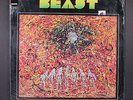 BEAST: beast COTILLION 12