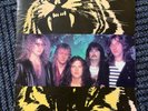 Tygers of Pan Tang 1982 Japan Tour Book Concert Program NWOBHM