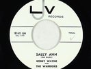 Rockabilly 45 - Bobby Wayne & the Warriors - Sally Ann - LJV - VG+ mp3 - rare