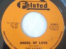 VG+ Doo Wop / Rocker 45 - The Echos - Angel of Love / Twistin' Town - Felsted