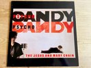 Psychocandy: Jesus And Mary Chain LP (Original Vinyl Record) Vinyl Near Mint