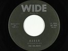 Surf Inst. 45 - Del-Rays - Radar - Wide - mp3