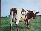 Pink Floyd-Atom Heart Mother Japanese Odeon first press red vinyl with inserts