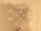 Watch the Throne Kanye West & Jay Z 2-Record LP (2012)