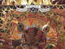 Levitation- Need For Not UK 12