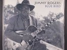 JIMMY ROGERS: blue bird ANALOGUE 12