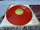 King Gizzard and the Lizard Wizard -Omnium Gatherum - Reddish Recycled Butterfly