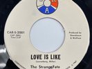 The Strange Fate - Hold Me Baby. '67 garage band 45. FUZZ. EX
