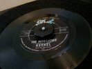 Rachel and The Revolvers - The Revo-Lution / Number One Brian Wilson/ Gary Usher