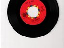 THE HONEYS - HE'S A DOLL    BRIAN WILSON  (READ)