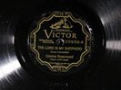 Connie Rosemond VICTOR 20950 V+ 