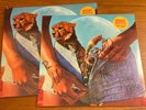 NIGHT RIOTS New State Of Mind LP + Autographed Poster ORANGE Newbury Comics /250