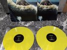 Beyoncé ‎LEMONADE (2-LP) 180 Gram Yellow Vinyl LP