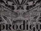 THE PRODIGY Charly Vinyl Record Single 12 Inch XL 1991 & Electronic Dance Music
